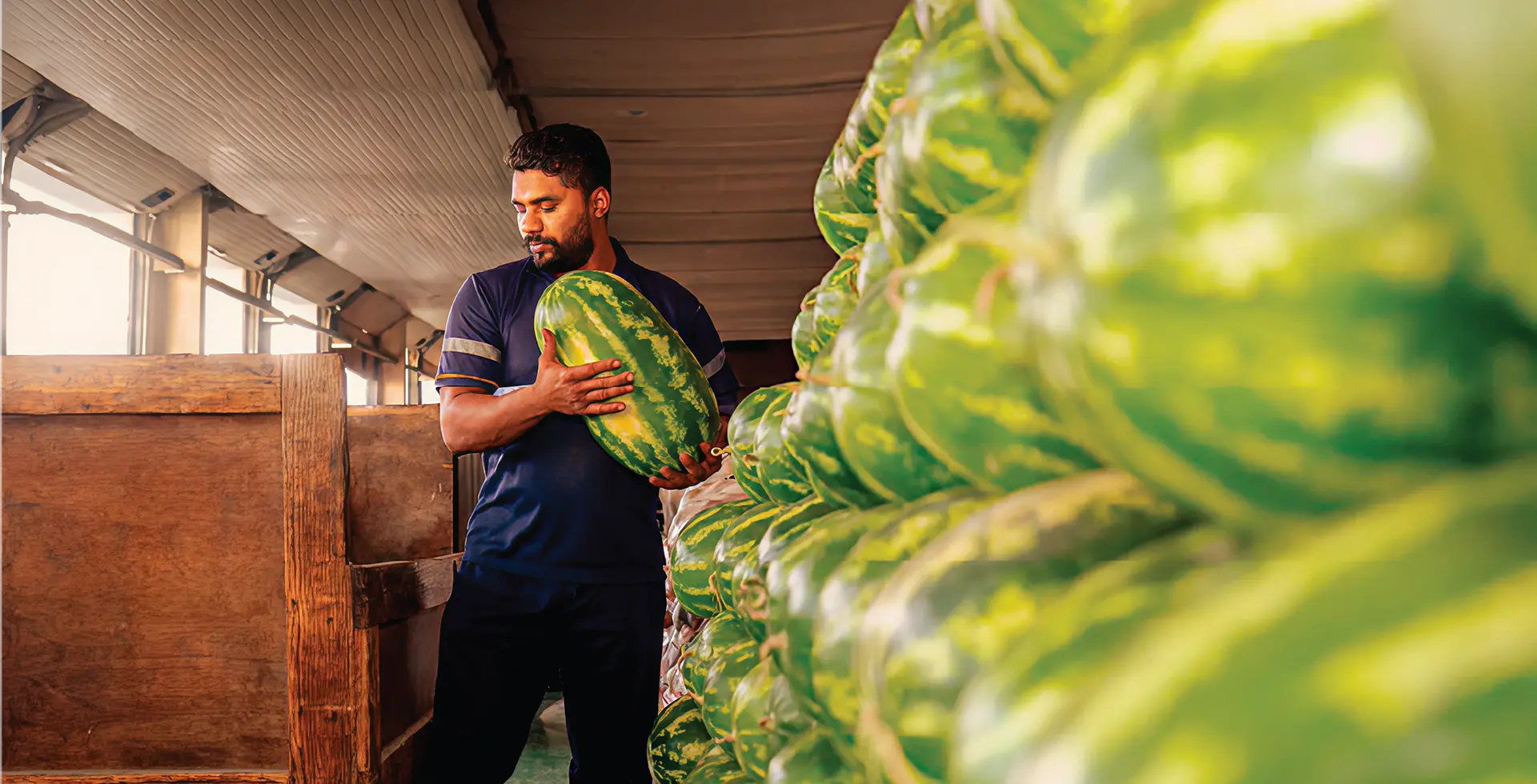 Become Part of the World's Largest Food Trade Hub