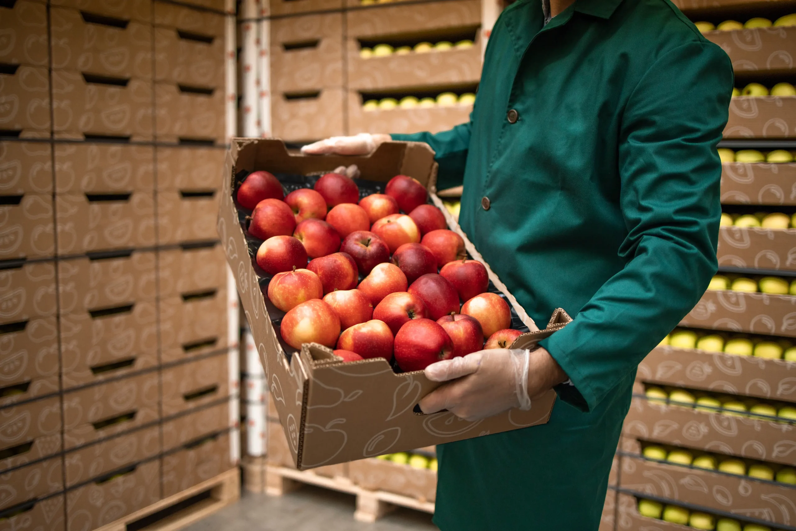 Trade Diversification