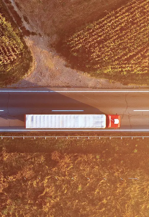From Dubai to Global Markets