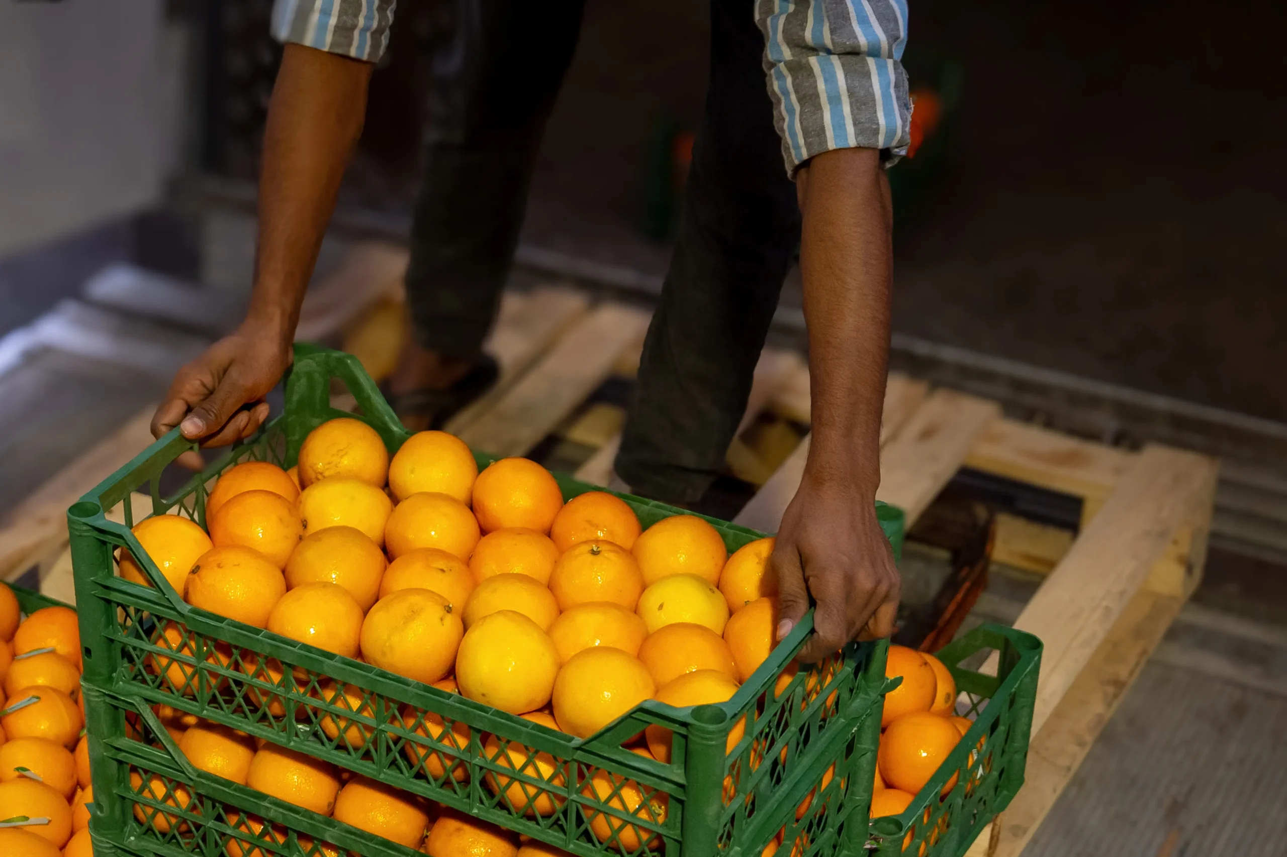 Wholesale